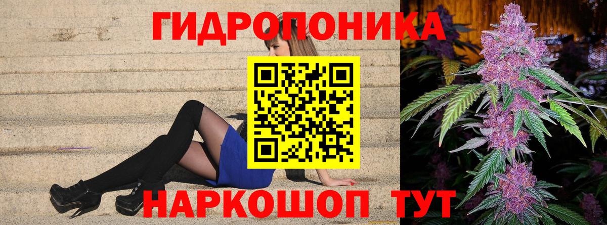 Марихуана сатива Павлово